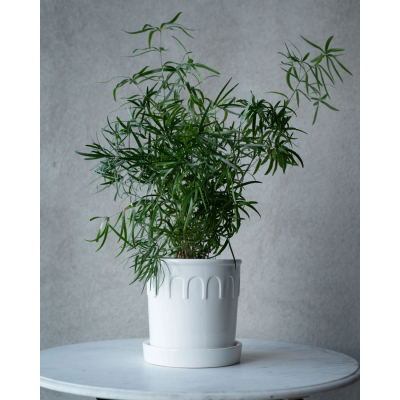                             Keramický květináč Lykke White 20 cm                        