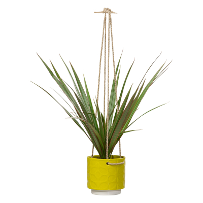 Závěsný květník Dandelion                    