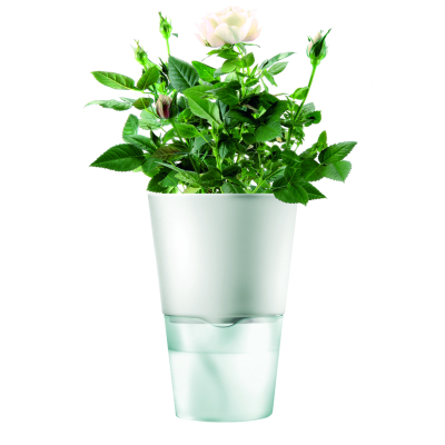                             Samozavlažovací kvetináč s bylinkami kriedovo biely                        