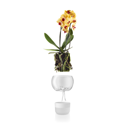                             Samozavlažovací květináč na orchideje Frosted                        