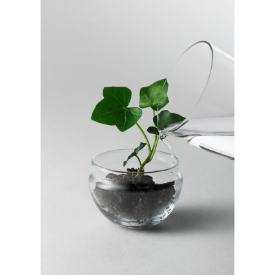                            Rezidenčný mini skleník Grow S                        