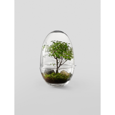 Bytový mini skleník Grow XL                    
