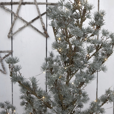                             Vánoční stromek v mechovém stojanu velký                        
