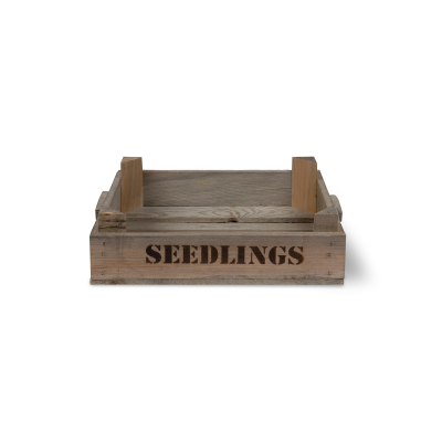                             Dřevěná bedýnka Seedlings                        