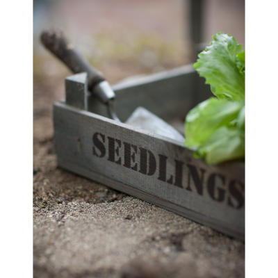                             Dřevěná bedýnka Seedlings                        