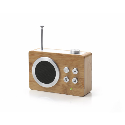 Rádio Mini Dolmen bambus                    