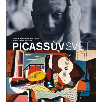 Picassov svet                    