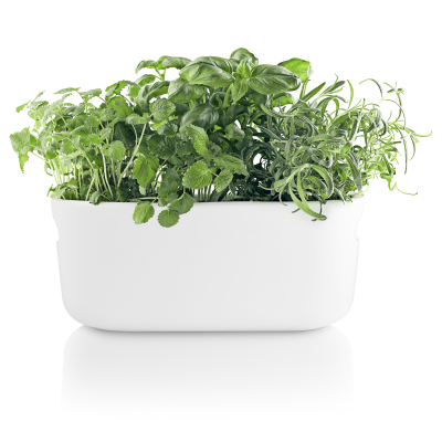                             Samozavlažovací květináč na bylinky Herb bílý                        