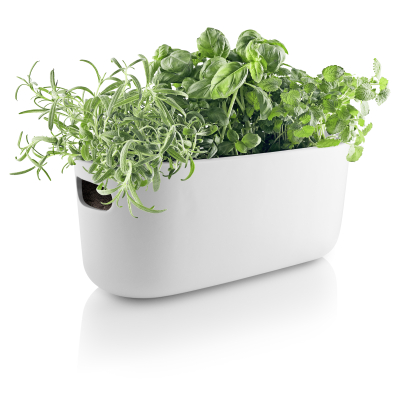                             Samozavlažovací květináč na bylinky Herb bílý                        