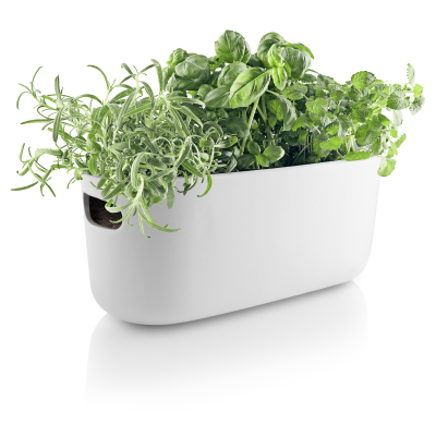                             Samozavlažovací květináč na bylinky Herb bílý                        