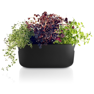                             Samozavlažovací květináč na bylinky Herb černý                        