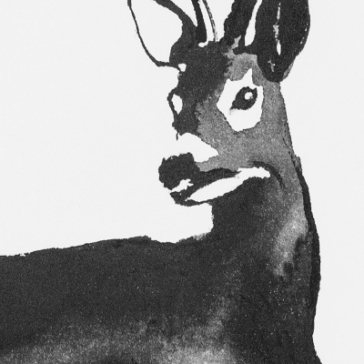                             Plakát Deer velký 50x70 cm                        