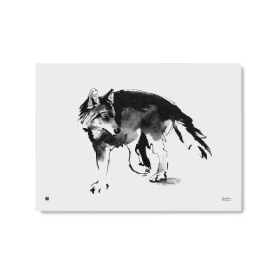 Plagát Wolf veľký 50x70 cm                    