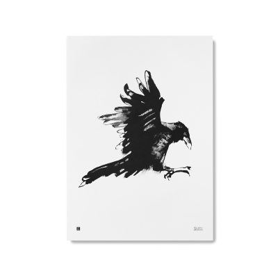 Plagát Raven veľký 50x70 cm                    