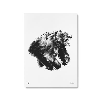 Plakát Bear velký 50x70 cm                    