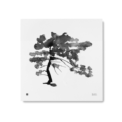 Plakát Pine Tree velký 50x50 cm                    