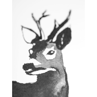                             Plakát Deer 30x40 cm                        