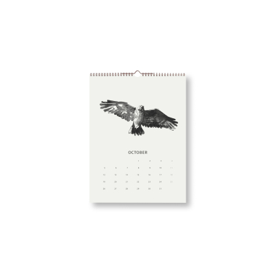                             Nástěnný kalendář Wilderness Stories 2020 30x40 cm                        