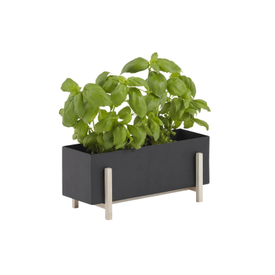 Květník se stojanem Botanic Box Black                    