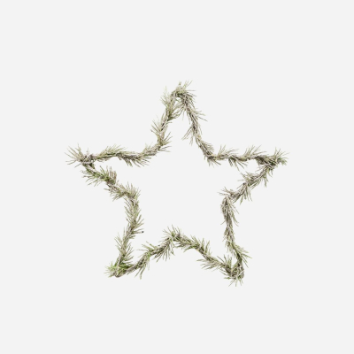 Svítící LED hvězda Wreath Star Nature 25 cm                    