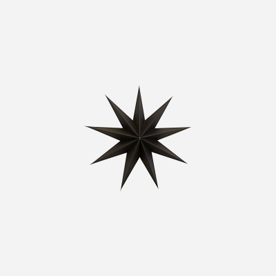Papírová devíticípá hvězda Star Brown 45 cm                    