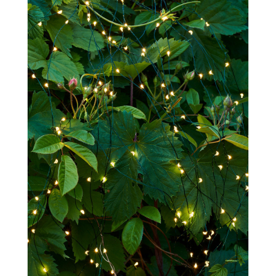                            Svítící řetěz Fairy Light 80 LED Green                        
