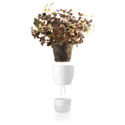                             Samozavlažovací květináč na bylinky bílý 9 cm                        