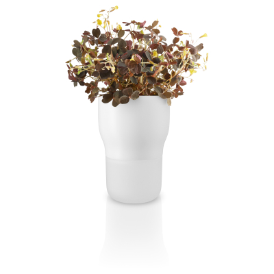 Samozavlažovací kvetináč na bylinky biely 9 cm                    