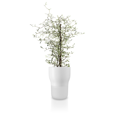 Samozavlažovací kvetináč na bylinky biely 13 cm                    