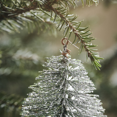                             Vianočný stromček a zelený zvonček                        