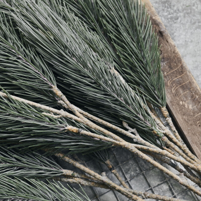                             Dekorační větvička borovice Pine Tree                        