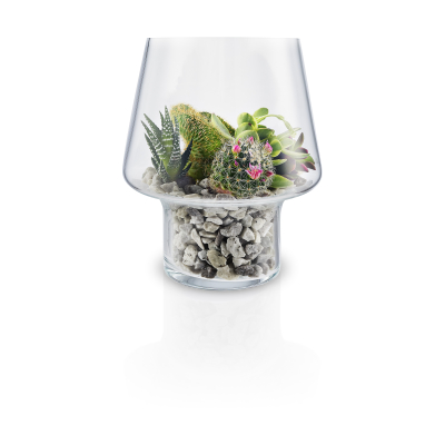                             Sklenená váza na sukulenty 15 cm                         