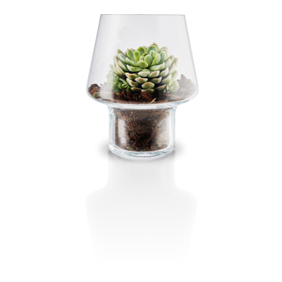 Sklenená váza na sukulenty 15 cm                     