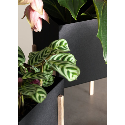                             Květník se stojanem Botanic Pot Square Black                        
