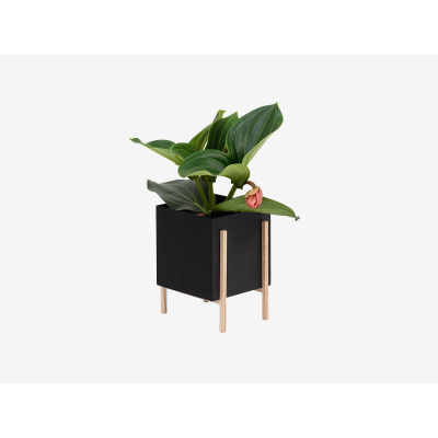 Květník se stojanem Botanic Pot Square Black                    