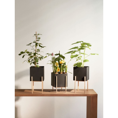                             Květník se stojanem Botanic Pot Square Black                        