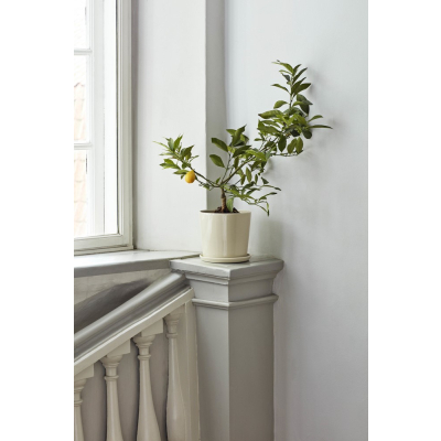                            Květináč s podmiskou Botanical Off White XL                        