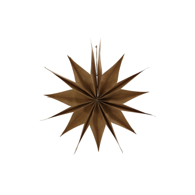 Papierová hviezda Capella Natural 50 cm                    