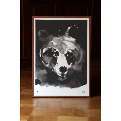                             Plakát Mysterious Bear velký 50x70 cm                        