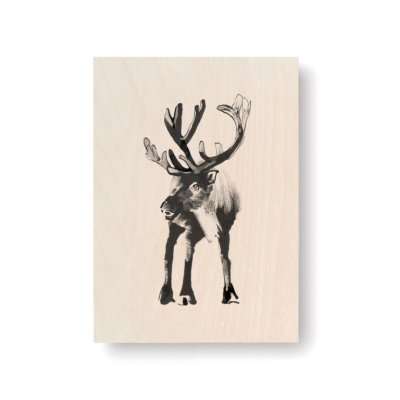 Obrázek na dřevěné kartě Reindeer 10x15 cm                    