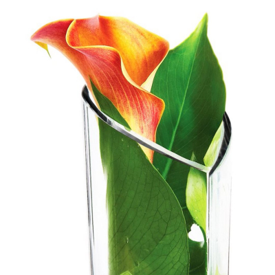                             Skleněná váza ve tvaru srdce Cupido 21 cm                        