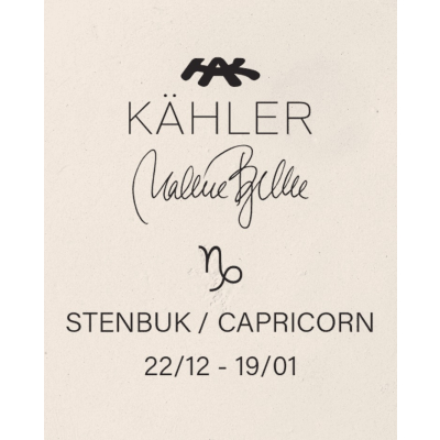                             Kameninová soška Astro Capricorn - Kozoroh                        