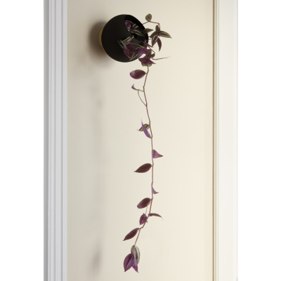                            Nástenný kvetináč Globe Black 17 cm                        